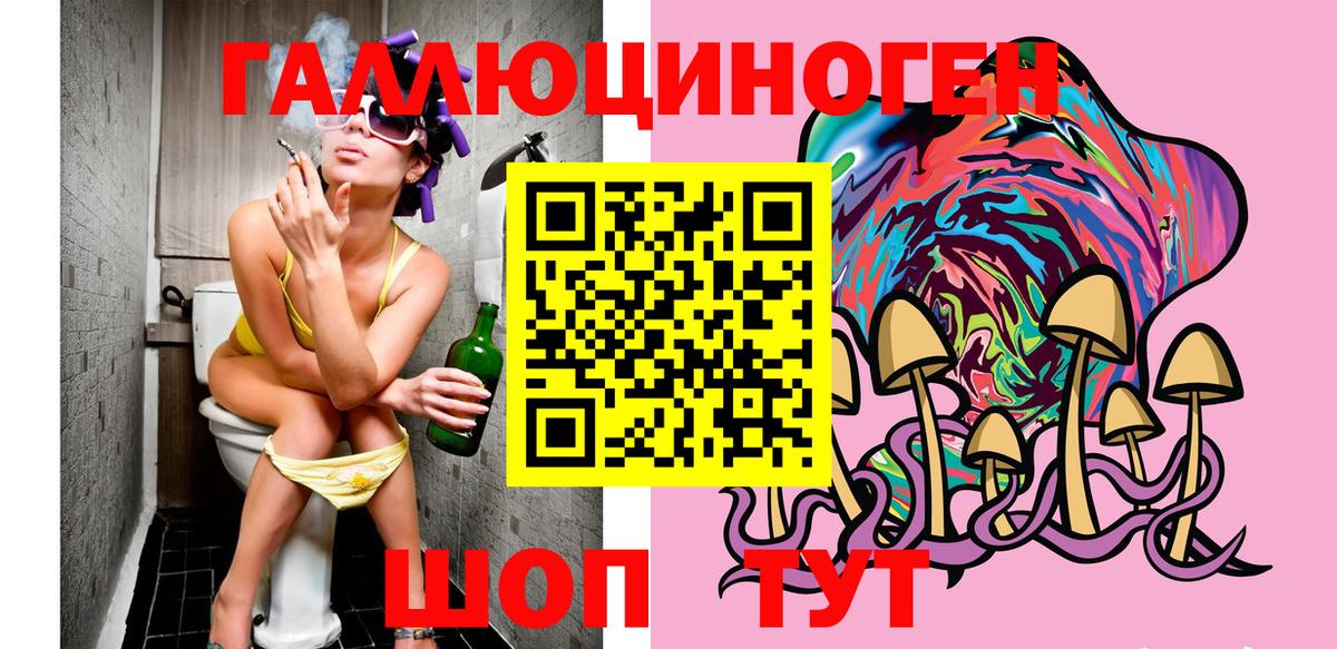 Псилоцибиновые грибы Cubensis Железногорск