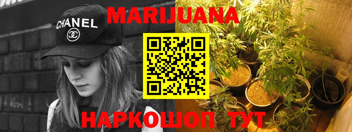 Бошки Шишки план Железногорск
